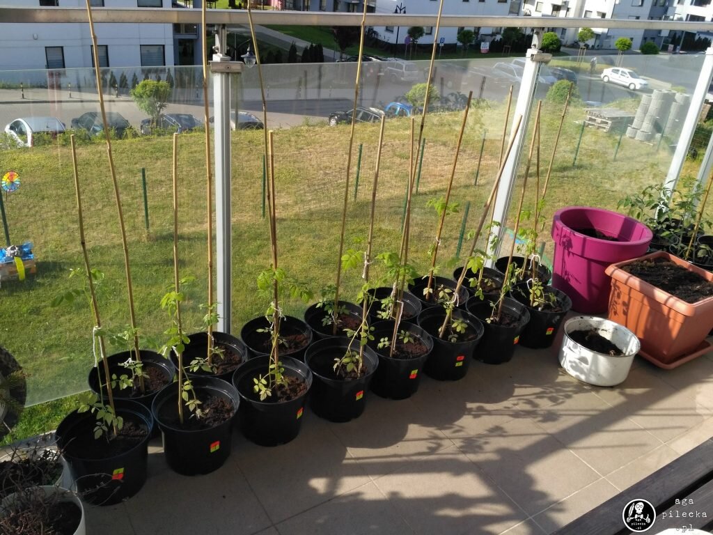 balkon053