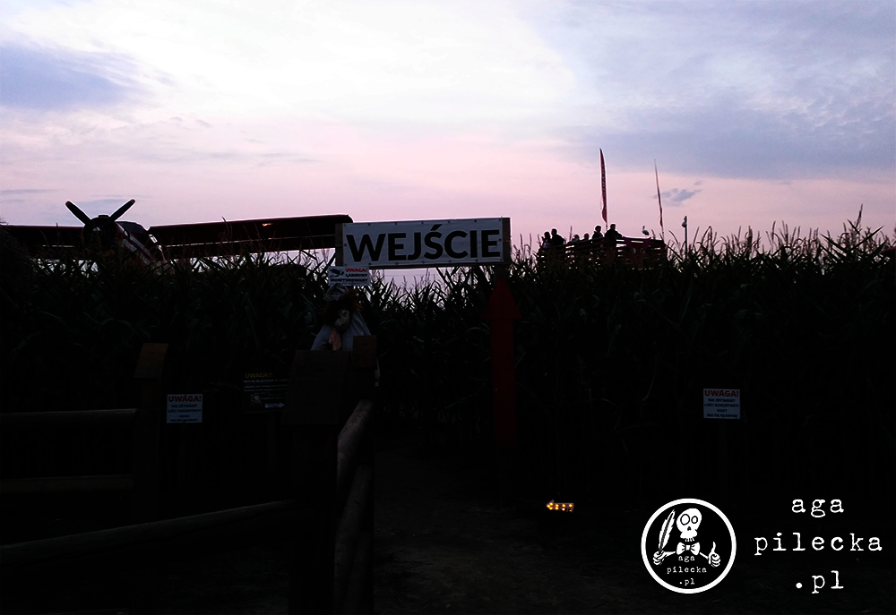 wejście