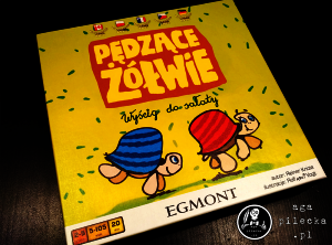 zolwie pudlo
